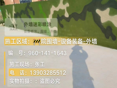 杨浦 迷彩漆喷涂价格（按平方米计费）