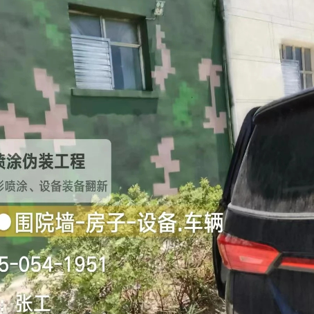 杨浦数码迷彩漆施工